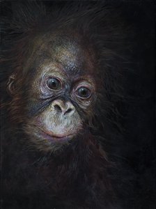 Baby orangutang 3, 2015 (akryl på trä)
