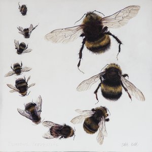 Bombus, 2015 (akryl på gessoat trä)
