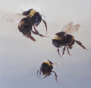 Bombus flight 1, 2011 (akryl på trä)