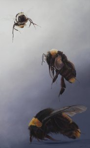 Bombus flight 2, 2011 (akryl på trä)