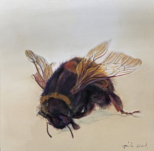 Bombus terrestris 10, 2013 (akryl på trä)