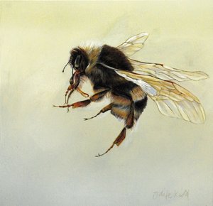 Bombus terrestris 4, 2011 (akryl på trä) av Odile Kidd