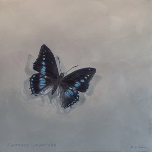 Charaxes imperialis 1 (a), 2014 (akryl på trä)