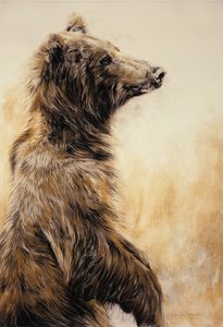 Grizzly Bear 2, 2002 (kolpenna, kol  krita)