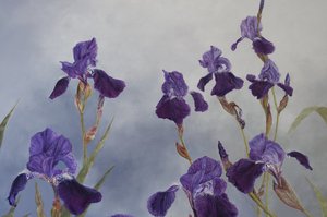 Iris hybrida (detalj), 2015 (akryl på gessoat trä)