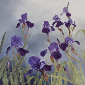 Iris hybrida, 2015 (akryl på gessoat trä)