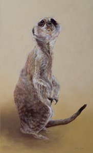 Meerkat 2, 2010 (akryl på trä)
