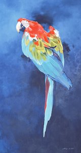 Red and Blue Macaw, 2002 (akryl på linne) av Odile Kidd