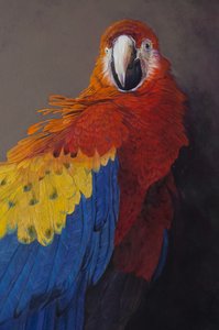 Scarlet macaw 3 (detalj), 2014 (akryl på linne)