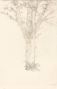 Träd av Odilon Redon