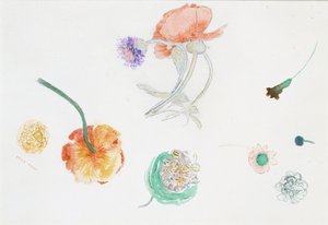 Blomsterskiss av Odilon Redon