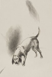Han [berättarens hund] höll blicken fäst på mig med en så märklig blick, plansch 3 av 6 av Odilon Redon