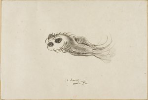 Meny för en middag för franska litografer, 1 april 1887 av Odilon Redon