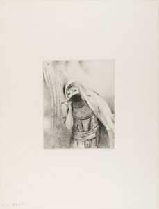 Hon drar från sin barm en svamp, perfekt svart, och täcker den med kyssar, tallrik 8 av 24 av Odilon Redon