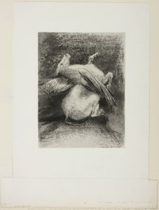 Den impotenta vingen lyfte inte djuret in i det svarta utrymmet, tallrik 7 av 8 från "Les Origines" av Odilon Redon