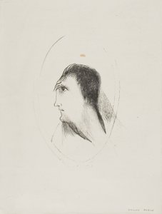 Bredden och planheten hos [det] frontala [benet], plåt 6 av 6 av Odilon Redon