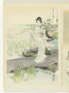 iris trädgård Jämförelser mellan skönheter och blommor (serietitel) Bijin hana kurabe (serietitel på objekt) av Ogata Gekko