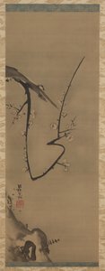 Prunus, hängande rulle, ca 1700 (bläck på siden) av Ogata Korin