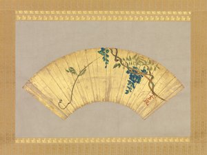 Wisteria, 1600-1700-talet.