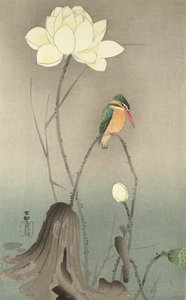 En kungsfiskare och en lotus, ca 1910,