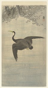 skarv i flykt av Ohara Koson