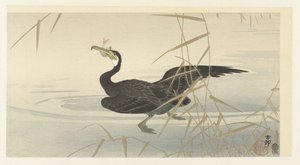Skarv med fisk av Ohara Koson