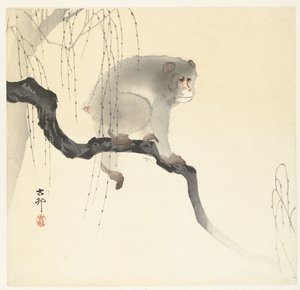 Apa på trädgren av Ohara Koson