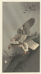 Örn som lurar efter byte av Ohara Koson
