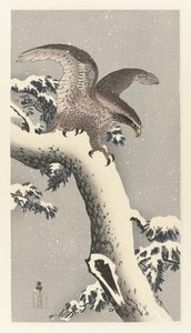 Örn på snöig tall av Ohara Koson