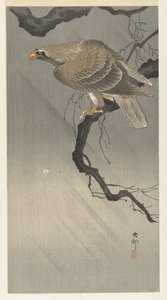 örn på gren av Ohara Koson