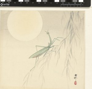 Bönsyrsa av Ohara Koson