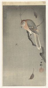 Buffalo head shrike och spindel av Ohara Koson
