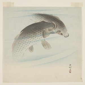 Karp (Koi) (trätryck i färg) av Ohara Koson