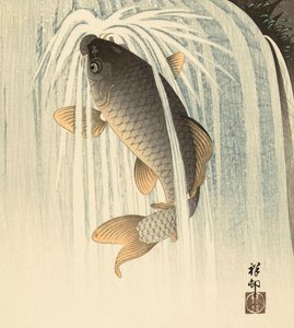 Karp under ett vattenfall, av den japanska konstnären Ohara Koson av Ohara Koson