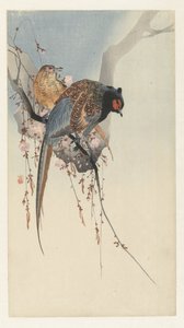 Fasanpar och plommonblomning av Ohara Koson