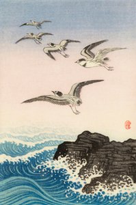 Five Seagulls Above a Rock in the Sea, 1900-talet (japanskt tryck) av Ohara Koson