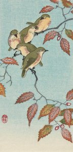 Fem små fåglar på en kvist, av den japanska konstnären Ohara Koson av Ohara Koson