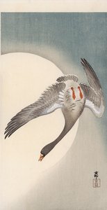 Flygande vispgås sett underifrån framför månen (trätryck i färg) av Ohara Koson