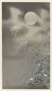 Gräs och blommor vid fullmåne av Ohara Koson