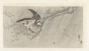 Grå stare i storm av Ohara Koson