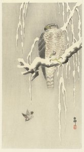 Hök med fången sparv. av Ohara Koson