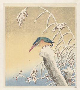 Kungsfiskare i snön av Ohara Koson