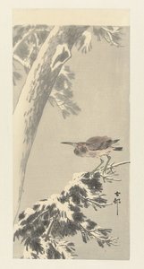 Indisk natthäger på snöig trädgren av Ohara Koson