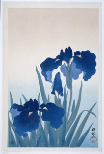 Iris av Ohara Koson