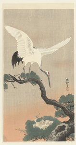 Japansk kran på gren av tall av Ohara Koson