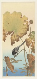 Japansk vippsvans på lotusväxt av Ohara Koson