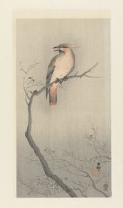 Japansk vaxvinge på gren av Ohara Koson