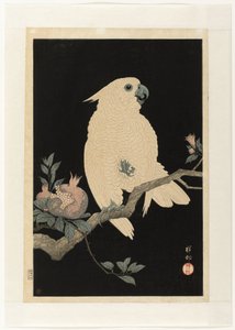 Kakadua med granatäpple av Ohara Koson