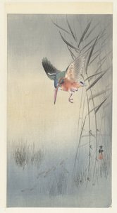 Kungsfiskare på jakt efter fisk (färgträsnitt) av Ohara Koson