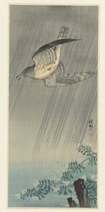 Gök i storm av Ohara Koson